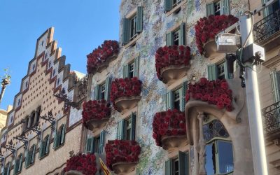 Giacomo Prosperini: vincitore della Borsa di Studio OpportuniSID 2025